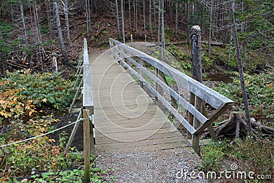 A bridge over a stream in the forest along a walking path in November in Nova Scotia Stock Photo
