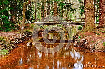 Bridge over stream in Winter Autumn Fall forest Stock Photo