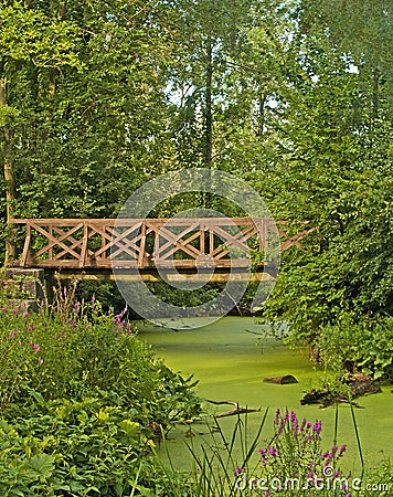 Bridge over swamp Stock Photo