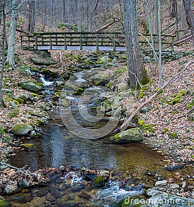 Bridge Over a Wild Mountain Trout Stream Stock Photo