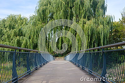 Bridge path with trees Stock Photo