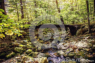 Bridge in Purgatory Chasm State Reservation on trail Berkshires, Massachusetts USA Autumn Stock Photo