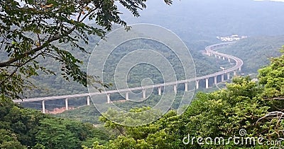 Bridge through the rain forest in Taiwan Stock Photo