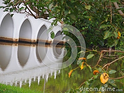 Bridge Reflection Stock Photo