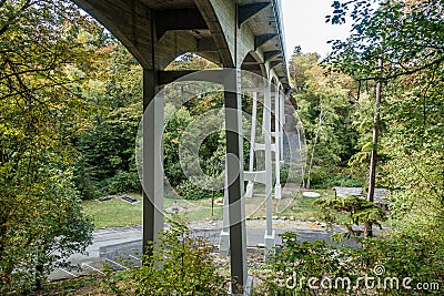 Bridge At Saltwater Park 2 Stock Photo