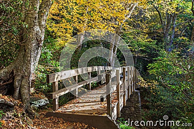 Bridge Tanawha Trail Western North Carolina Stock Photo