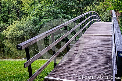 Bridge to a forest at Haagse Bos, forest in The Hague Stock Photo