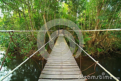 Bridge to the jungle,Khao Yai,Thailand Stock Photo