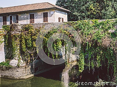 Bridge with vines in Naviglio Martesana, Lombardy, Italy Stock Photo