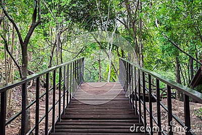 Bridge walkway wood in forest Stock Photo