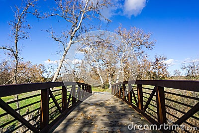 Bridge and western sycamore trees Platanus racemosa, Sycamore Grove Park, Livermore, east San Francisco bay area, California Stock Photo