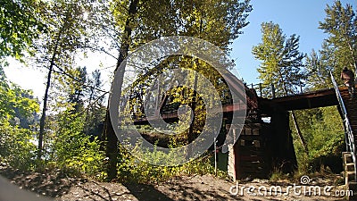 Bridge woods forest water steel wood big Washington beautiful Stock Photo