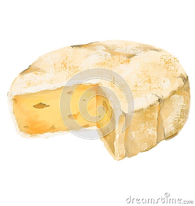 Brie Cheese wheel white mold creamy milky taste digital oil painting illustration Cartoon Illustration