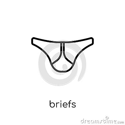 briefs icon from Briefs collection. Vector Illustration
