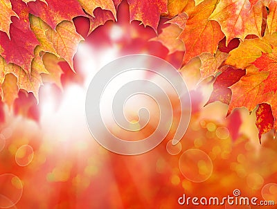 Bright autumn background. Red fall maple leaves and abstract bokeh light Stock Photo