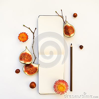 Bright autumn composition of a sketchbook, figs and tree branches. Flat lay, top view Stock Photo