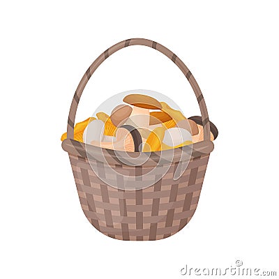 A bright autumn illustration with the image of edible mushrooms collected in a basket. The harvested crop of mushrooms Vector Illustration