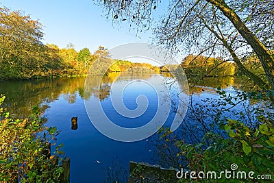 Early autumn morning on the shores of a tree lined lake Stock Photo