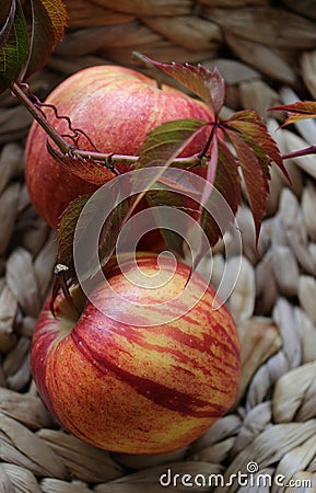 bright background. basket with red apples, beautiful background texture. juicy fruits. vitamins Stock Photo