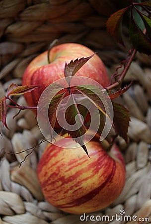 bright background. basket with red apples, beautiful background texture. juicy fruits. vitamins Stock Photo