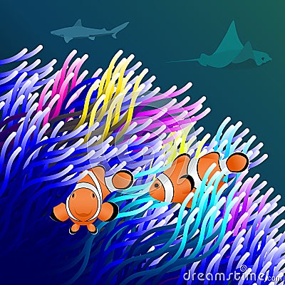 Bright background with clown fish and sea anemone for pet shop and aquarium Vector Illustration