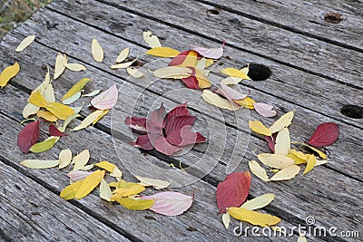 Bright beautiful autumn leaves burn on a wooden background Stock Photo