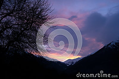 Bright and beautiful, fiery sunset in the mountains - snowy peaks, dark silhouettes of mountains and branches of a large tree Stock Photo