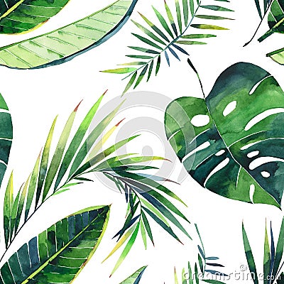 Bright beautiful lovely green herbal tropical wonderful hawaii floral summer pattern of a monstera banana tropic palm leaves Cartoon Illustration