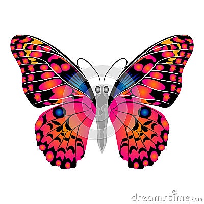 Bright beautiful red butterfly. Vector illustration isolated. Vector Illustration