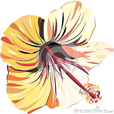 Bright beautiful tender sophisticated lovely tropical hawaii floral summer tropic light pink and yellow hibiscus seamless i Vector Illustration