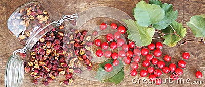 Bright berries of fresh and dried hawthorn on a wooden background. Alternative traditional medicine using hawthorn. Stock Photo