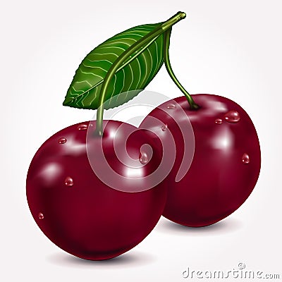 Bright berries ripe cherry with drops, isolated on white. Vector Illustration