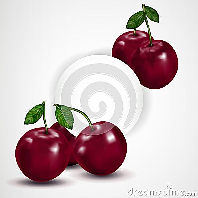 Bright berries ripe cherry with leaves isolated on white. Vector Illustration