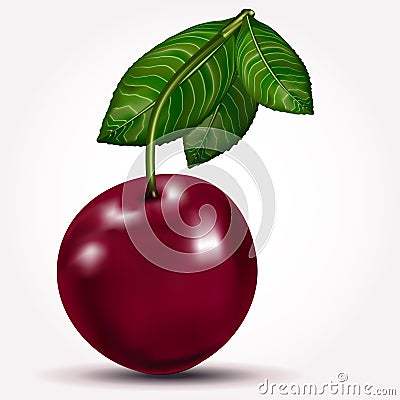 Bright berry ripe cherry with leaves isolated on white. Vector Vector Illustration