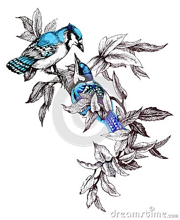 Bright birds on branches with flowers ink hand drawn illustration. Vector Illustration