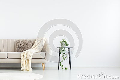 Living room with copy space Stock Photo