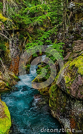 0000262_Bright blue waters of Avalanche Creek amid colorful foliage_4809 Stock Photo