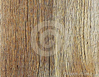 Bright Board of larch with a distinctive pattern Stock Photo