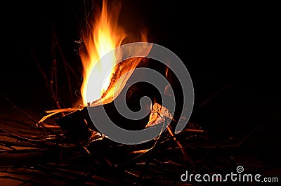 Bright burning birch log fire in snowy winter nature Stock Photo