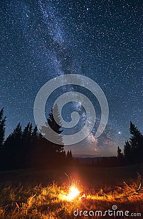 Bright campfire in night forest, starry sky. Stock Photo