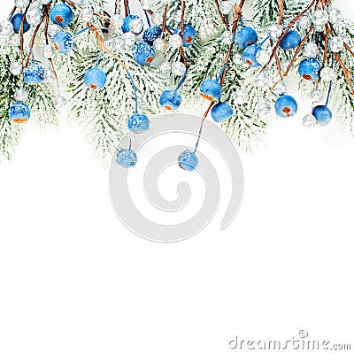 Bright Christmas card composition with blue berries and Xmas tree branch isolated on white background. Winter decorations border Stock Photo