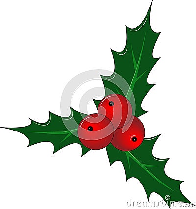 Bright Christmas illustration. Holly with berries and leaves. Vector Vector Illustration