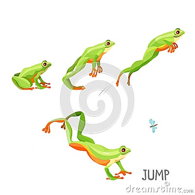 Frog jumping by sequence cartoon vector illustration Vector Illustration