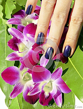 Bright colored photo of fingernails with manicure Stock Photo