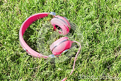 Bright colored pink headphones on green sward Stock Photo