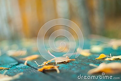 Bright and colorful autumn landscapes Stock Photo