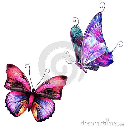 Butterflies Stock Photo