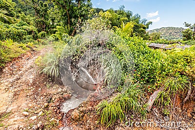 Natural hot spring on the Island of Dominica. Stock Photo