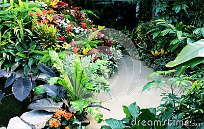 Bright and Colorful Indoor Gardens Stock Photo