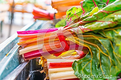 Bright, colorful orange, green, white and red swiss chard, with green leaves, in bundles, being sold at a farmer`s market Stock Photo